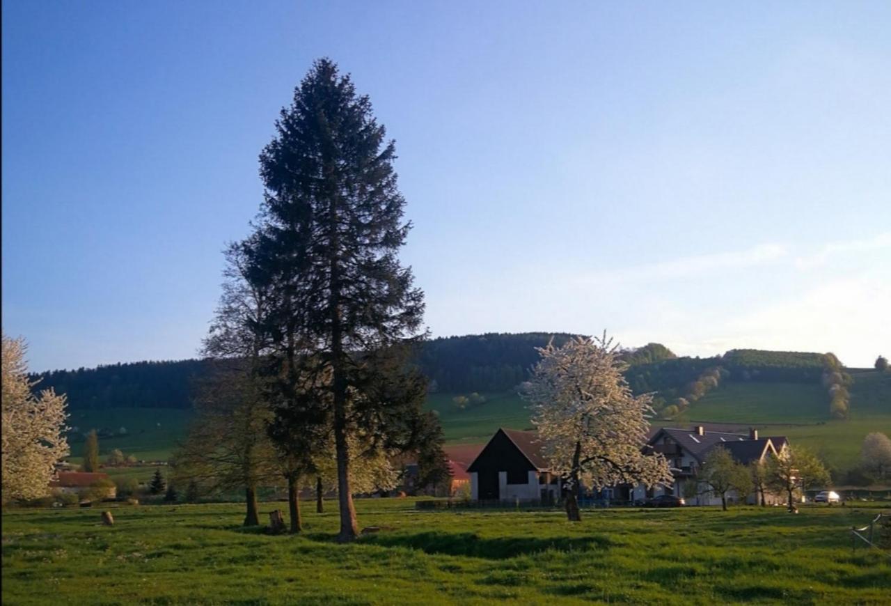 Agroturystyka "U Kasi" Scinawka Gorna Luaran gambar
