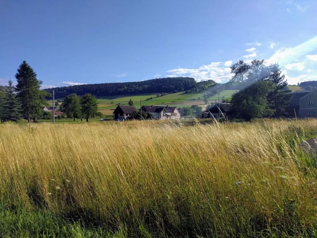 Agroturystyka "U Kasi" Scinawka Gorna Luaran gambar