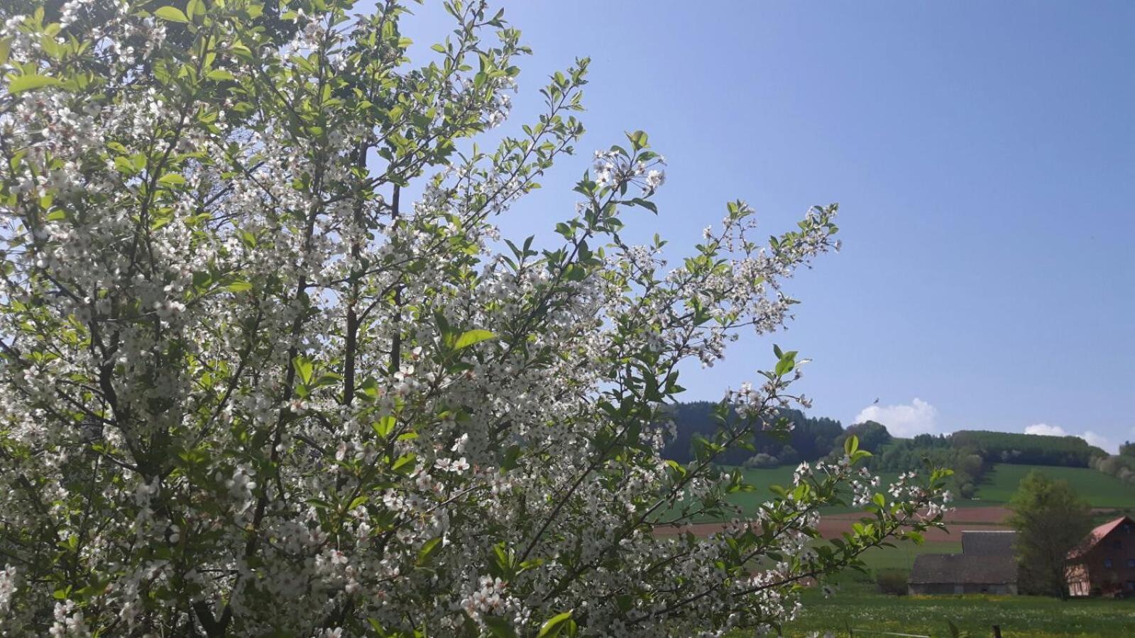 Agroturystyka "U Kasi" Scinawka Gorna Luaran gambar