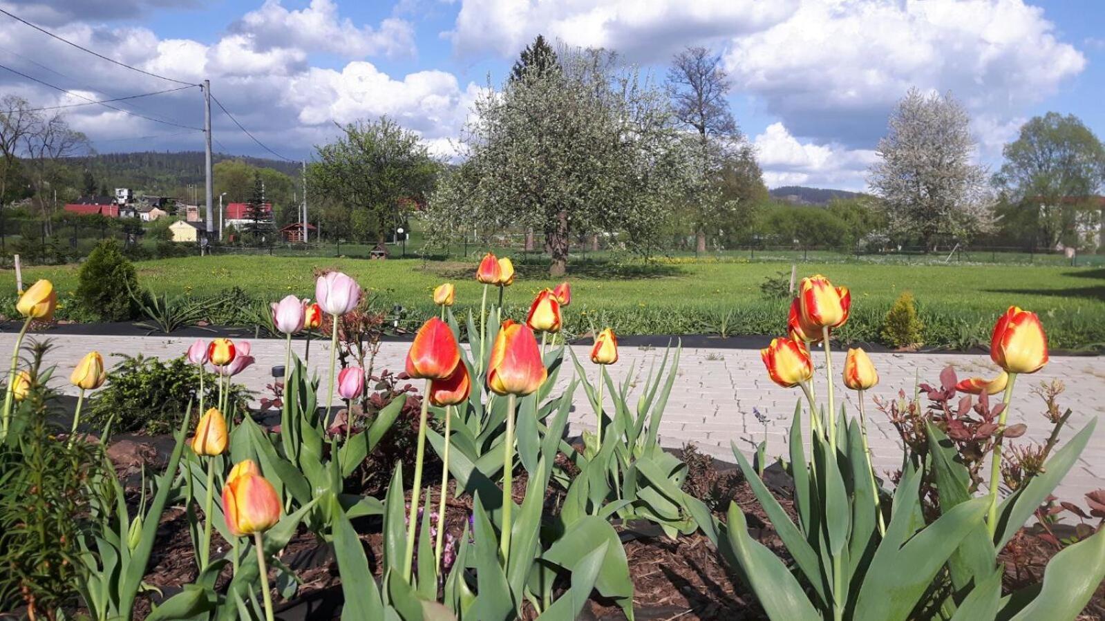 Agroturystyka "U Kasi" Scinawka Gorna Luaran gambar