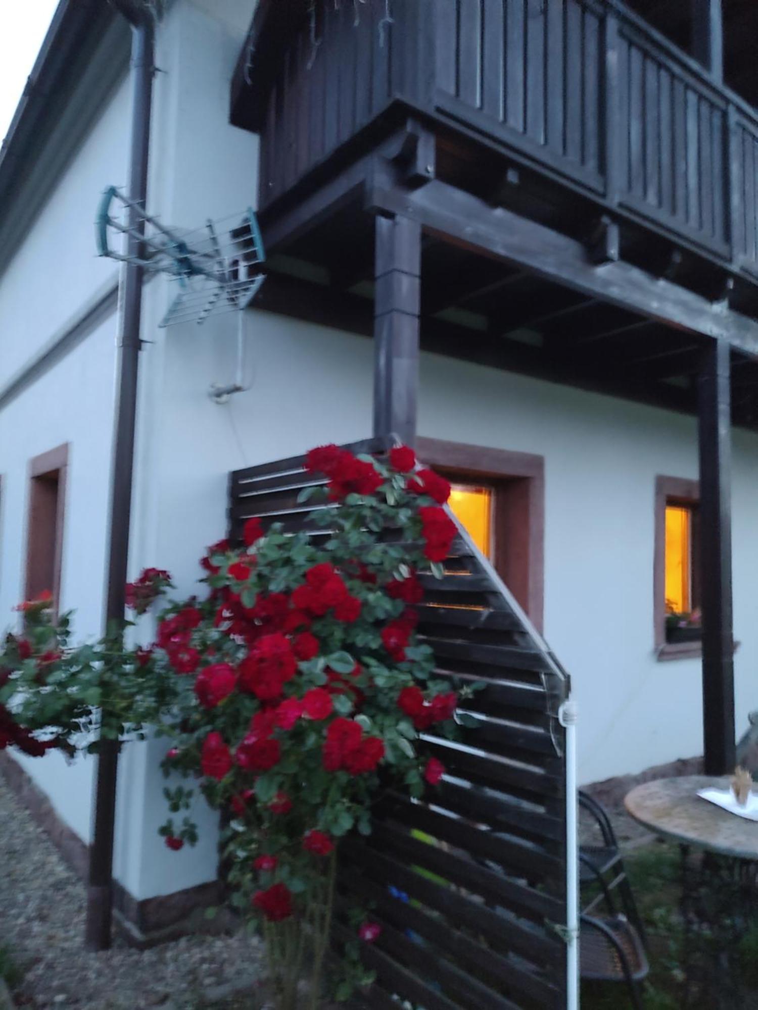 Agroturystyka "U Kasi" Scinawka Gorna Luaran gambar