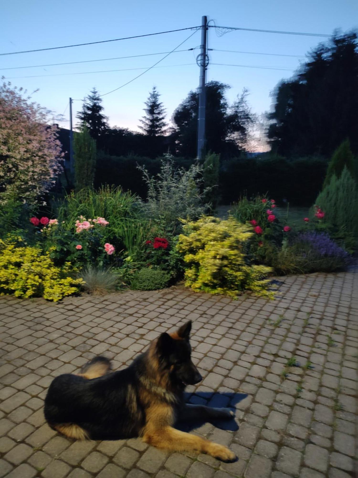 Agroturystyka "U Kasi" Scinawka Gorna Luaran gambar