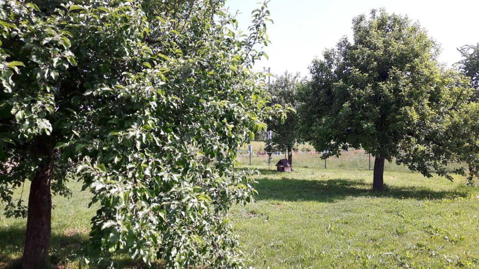 Agroturystyka "U Kasi" Scinawka Gorna Luaran gambar