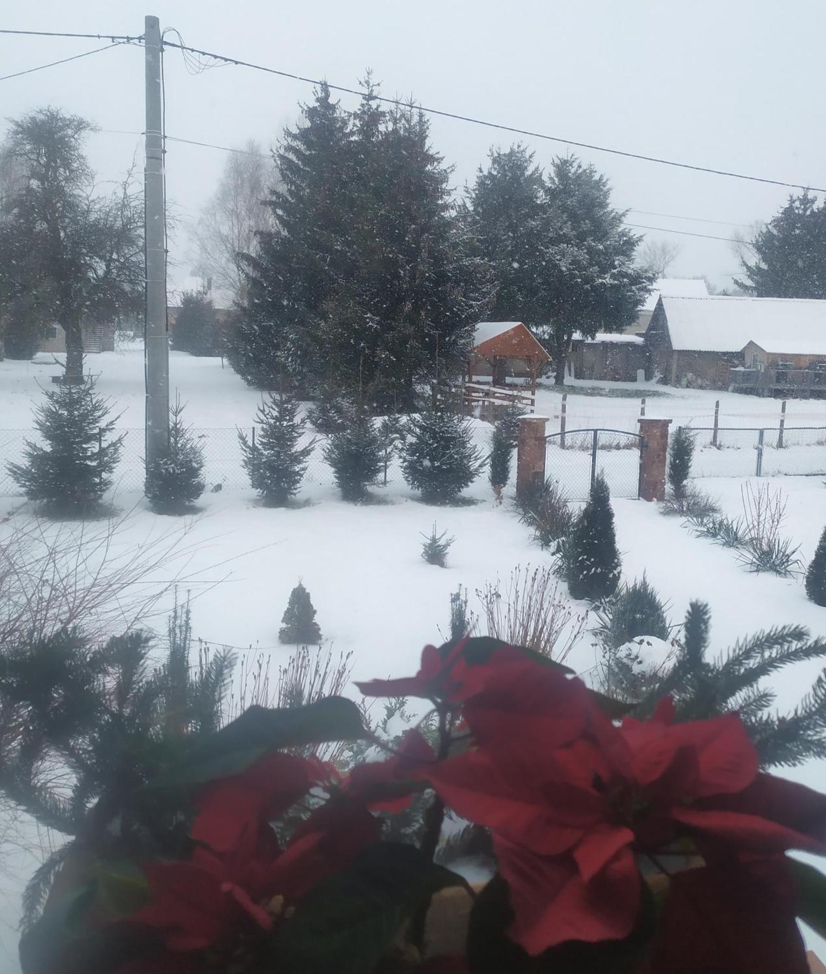 Agroturystyka "U Kasi" Scinawka Gorna Luaran gambar