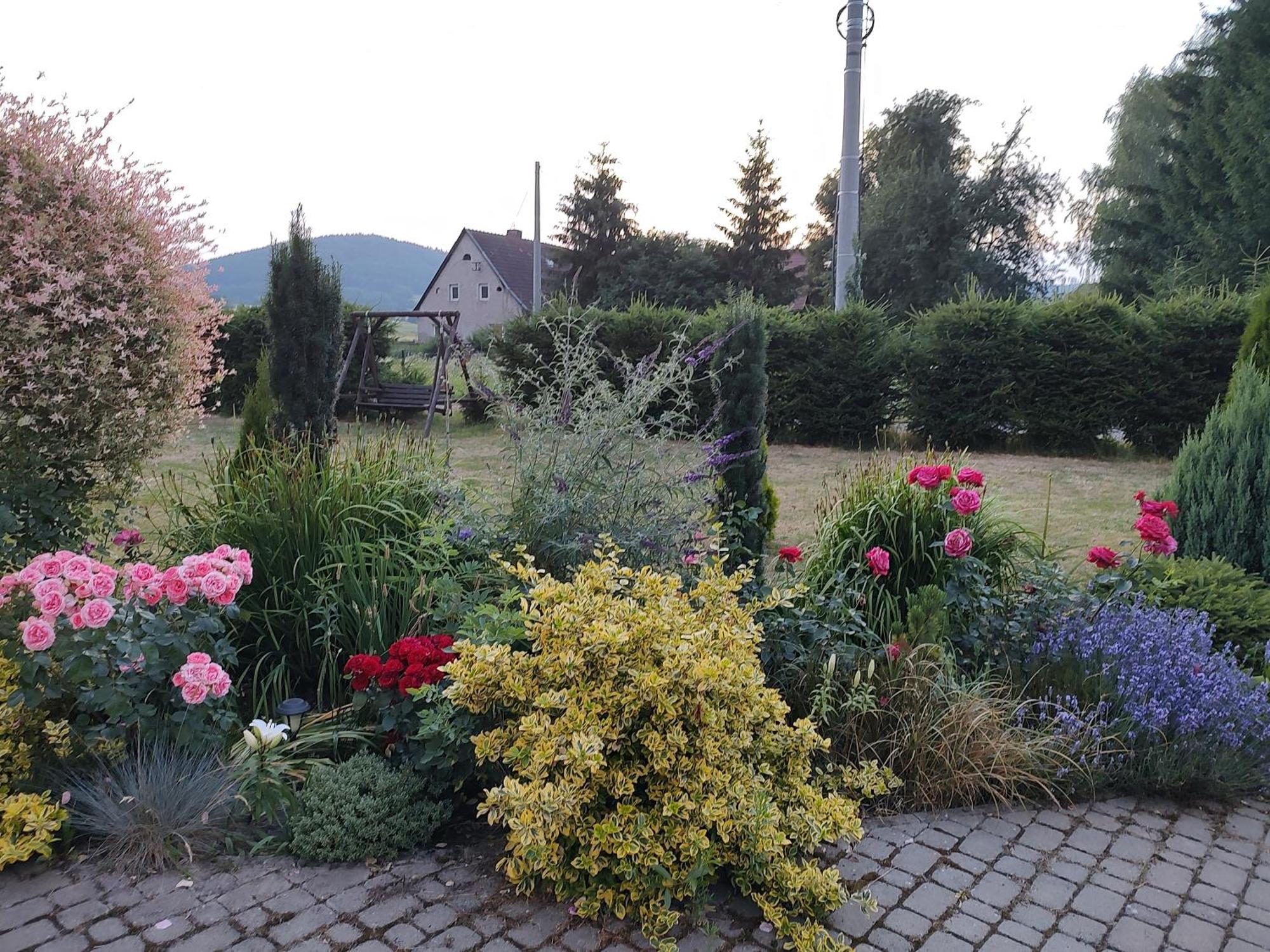 Agroturystyka "U Kasi" Scinawka Gorna Luaran gambar